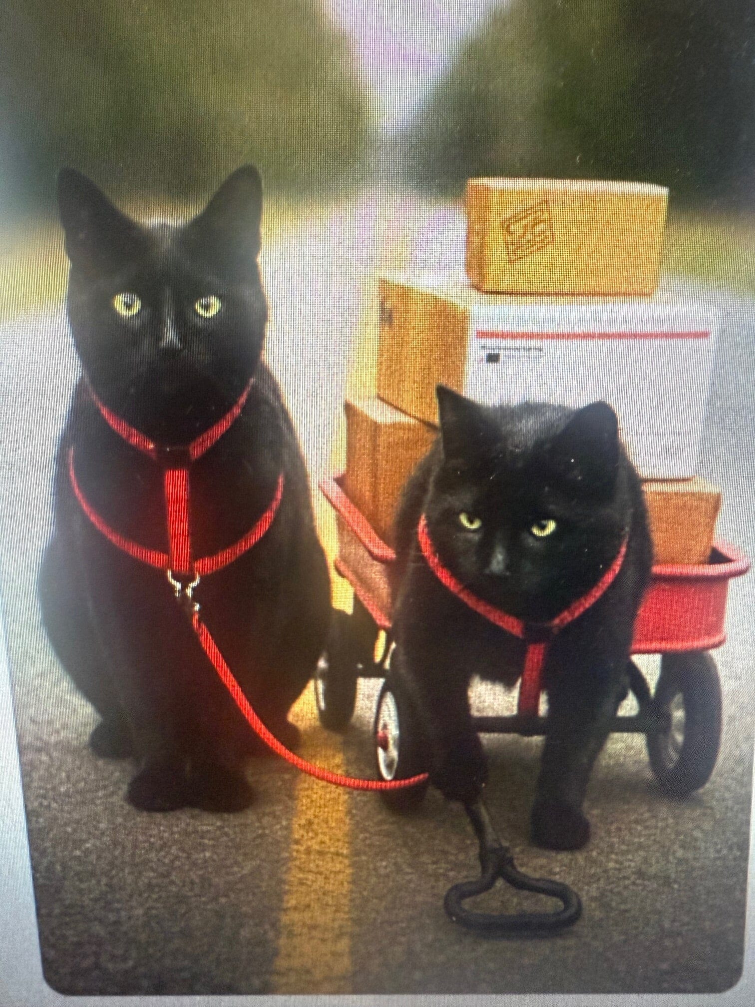 December 2025 Insert