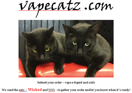 Wicked & Vivi's House logo