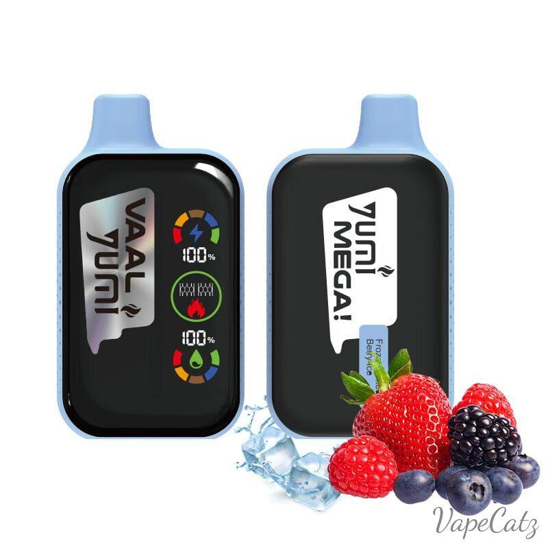 Yumi Mega Disposable Wicked & Vivi's House Frozen Berry Ice