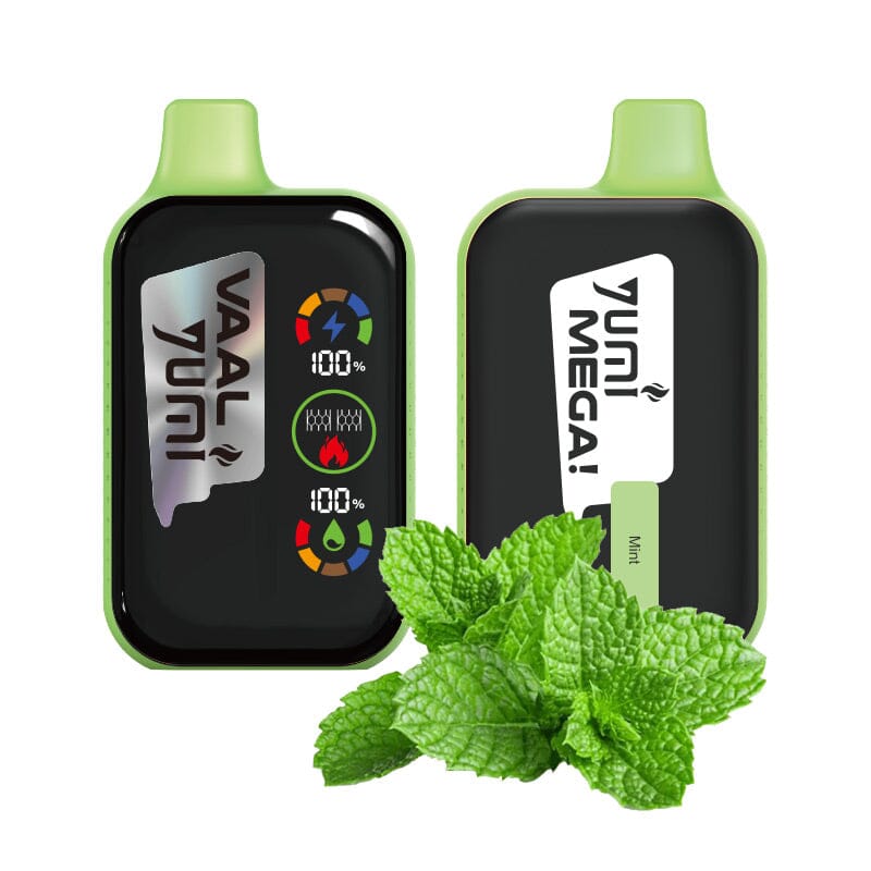 Yumi Mega Disposable Wicked & Vivi's House Mint