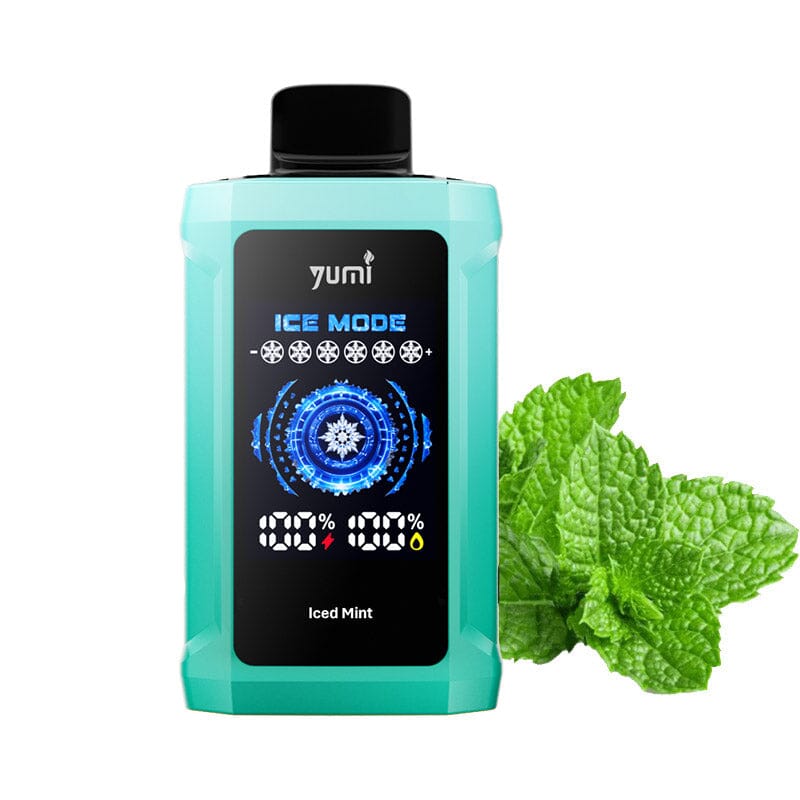 Yumi P20000 Disposable Wicked & Vivi's House Iced Mint