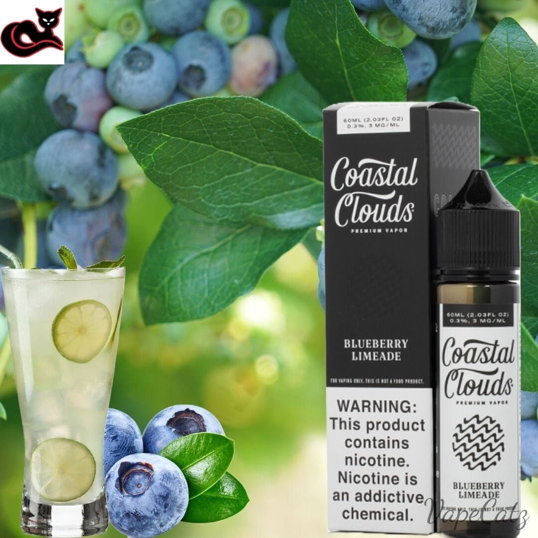 Blueberry Limeade E-Liquid Coastal Clouds