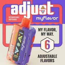 Adjust Disposables Disposable Wicked & Vivi's House 