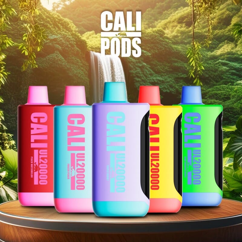 Cali UL20000 Turbo Disposable Wicked & Vivi's House 