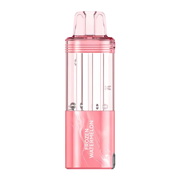 Foger Pods And Kits Disposable Wicked & Vivi's House Frozen Watermelon Pod 