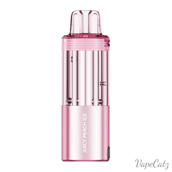 Foger Pods And Kits Disposable Wicked & Vivi's House Juicy Peach Ice Pod 