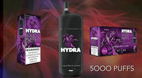 HYDRA 5000 PUFFS 3% DISPOSABLE VAPE Disposable Hydra Grape Blackcurrant 