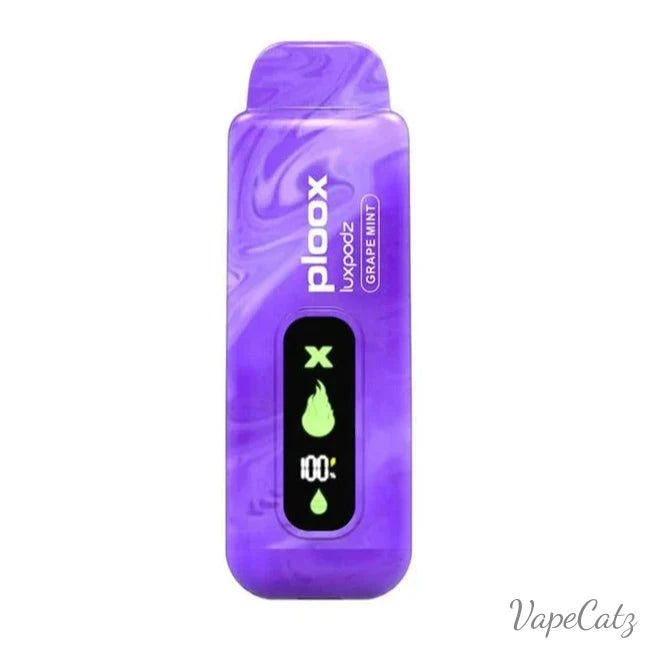 Ploox X Edition Disposable Wicked & Vivi's House Grape Mint 