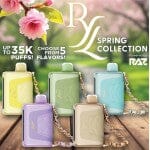 RYL Classic by Raz Disposable - Spring Edition Flavors!!! Disposable Raz 