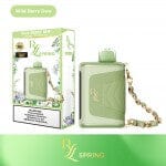 RYL Classic by Raz Disposable - Spring Edition Flavors!!! Disposable Raz Wild Berry Dew 